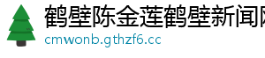 鹤壁陈金莲鹤壁新闻网